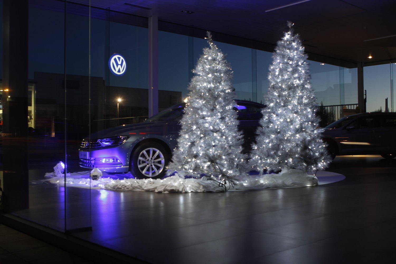 Duo de sapins argentés