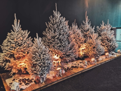 Weiß beschneiter Tannenbaum