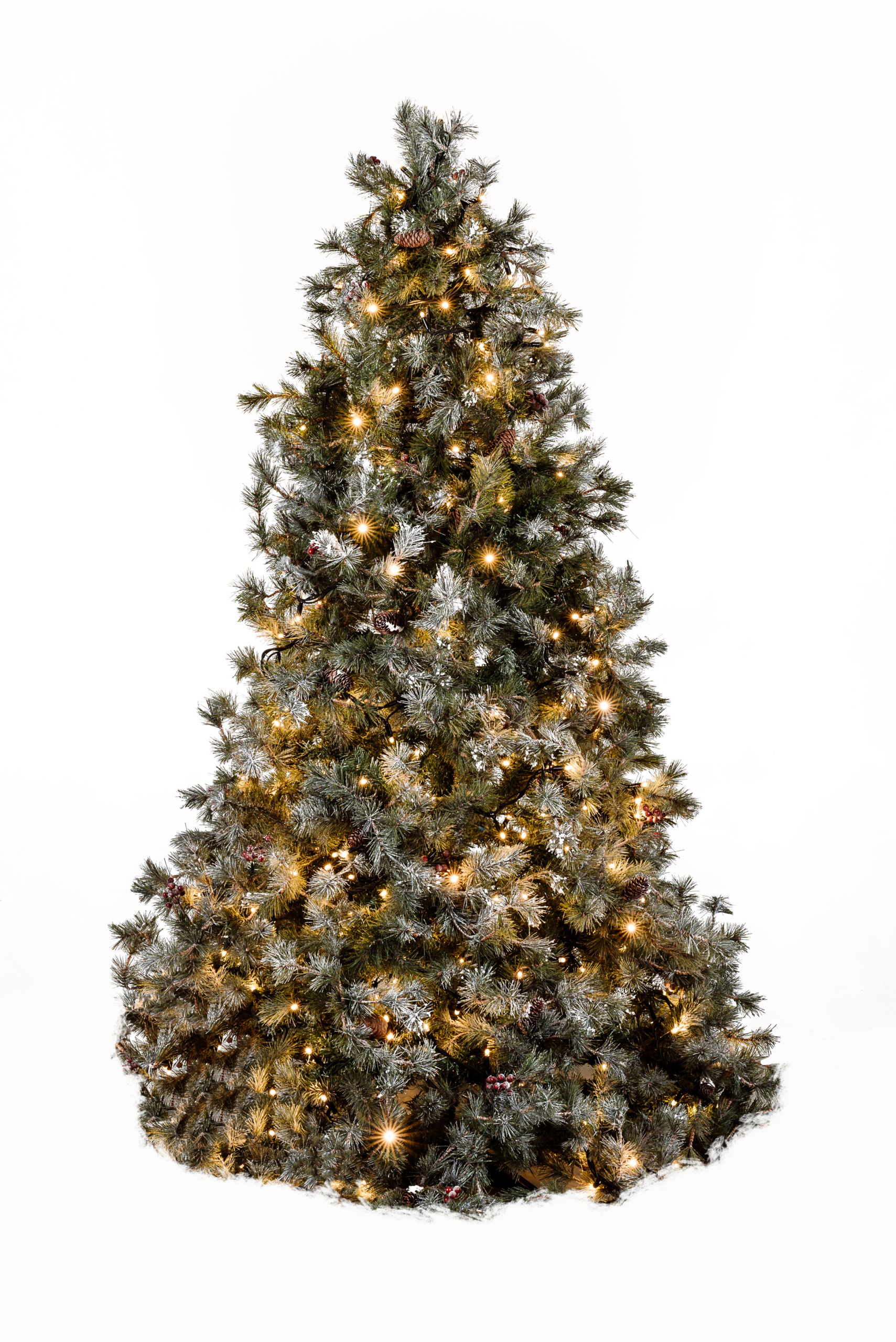 Tannenbaum St. Moritz – 180 bis 300 cm
